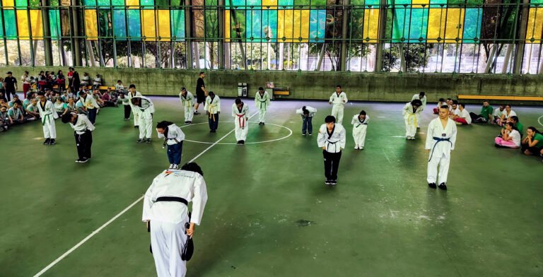 Master Class Taekwondo Adaptado