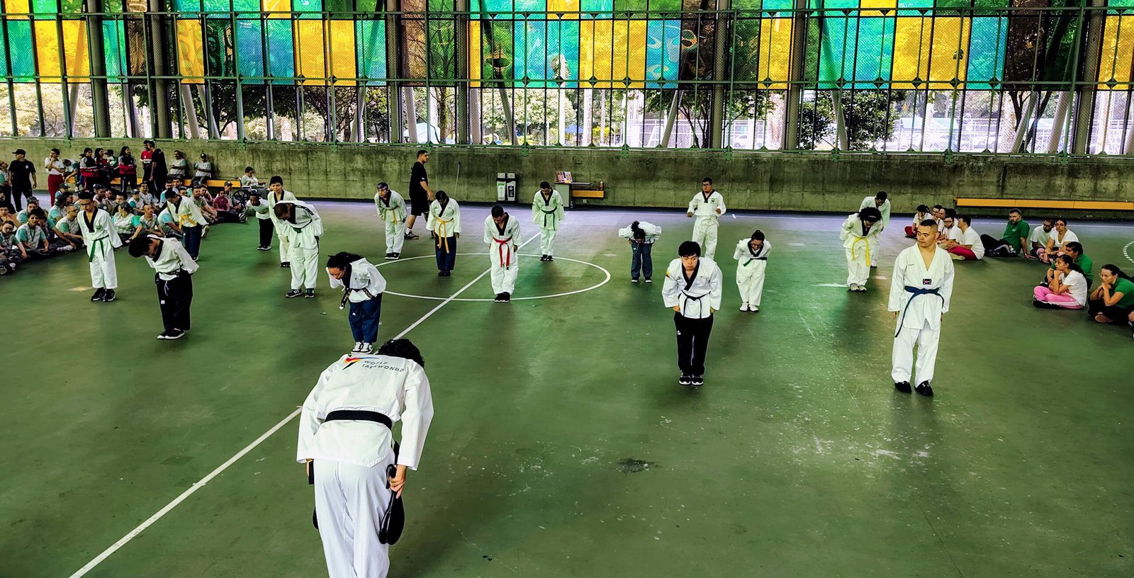 Master Class Taekwondo Adaptado